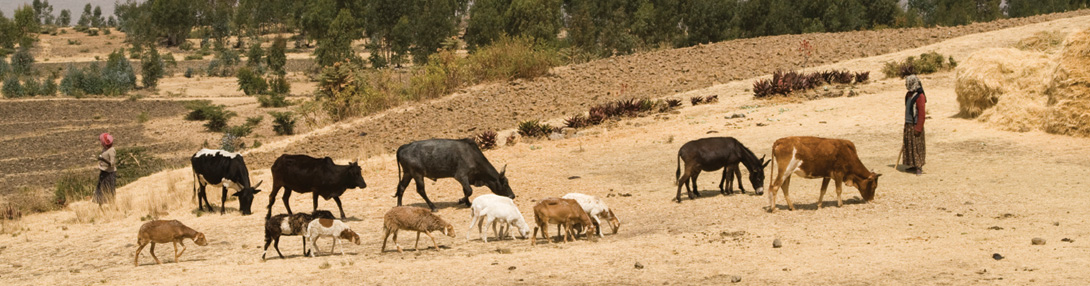 Ethiopia